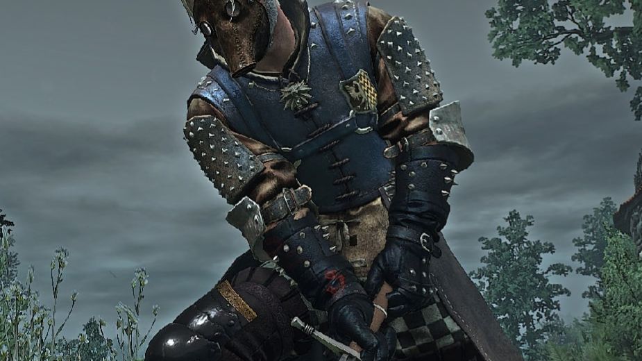 Ведьмак 3 гвинт все вставки