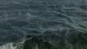 Сказки бывают разные