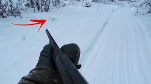 ОХОТА НА БОРОВУЮ ДИЧЬ В ГЛУХОЗИМЬЕ / ГЛУХАРЬ В ПЯТИ МЕТРАХ БЫЛ / ВМЕСТО РЯБЧИКА ТЕТЕРЕВ ОКАЗАЛСЯ.
