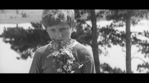 Зимородок (1972)