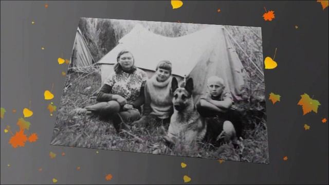 ПАМЯТИ НЭЛЛИ