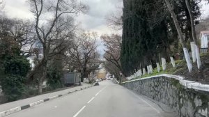 Ялта/ пгт.Ливадия. Севастопольское шоссе. По улице Батурина. 12.01.2026. Крым. Crimea. Yalta.Livadia