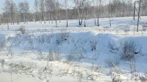 Поезд Уфа -Новый Уренгой / Зимой в поезде