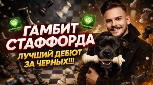 ЛУЧШИЙ ГАМБИТ ЗА ЧЕРНЫХ!!! ГАМБИТ СТАФФОРДА!!!