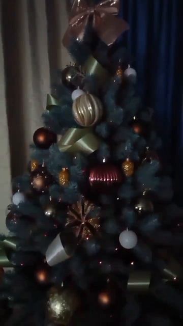 Наша ёлочка встречает 2026 год.