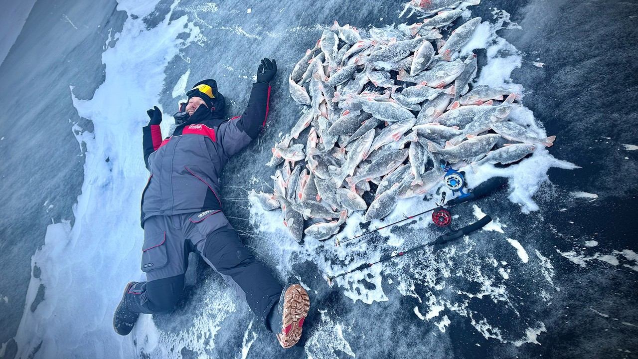 Окуневый БЕСПРЕДЕЛ! МЕГА ЛУНКА 2026! смотреть онлайн