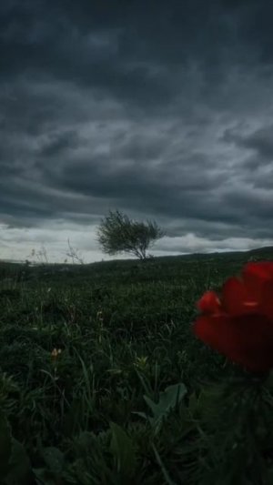 Когда идет дождь