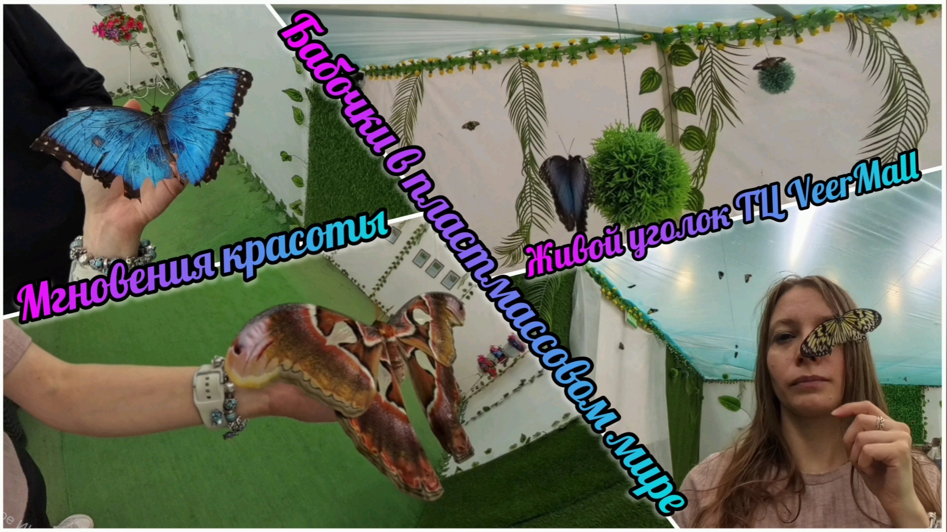 26.04.2025г. Парк Бабочек ТЦ Веермол г.Екатеринбург смотреть онлайн
