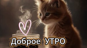 доброе утро открытки ☀️