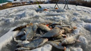 ПЕРВЫЙ ЛЁД, ПЕРВАЯ РЫБА 2026. Отвёл душу...