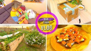 Сын прислал посылку из СПБ. Русские суши без риса, но с хлебом. Распаковка. Тепло посреди зимы.