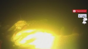 Отличная подводная охота в новом году.