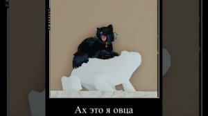 не бейте тапками, но это правда