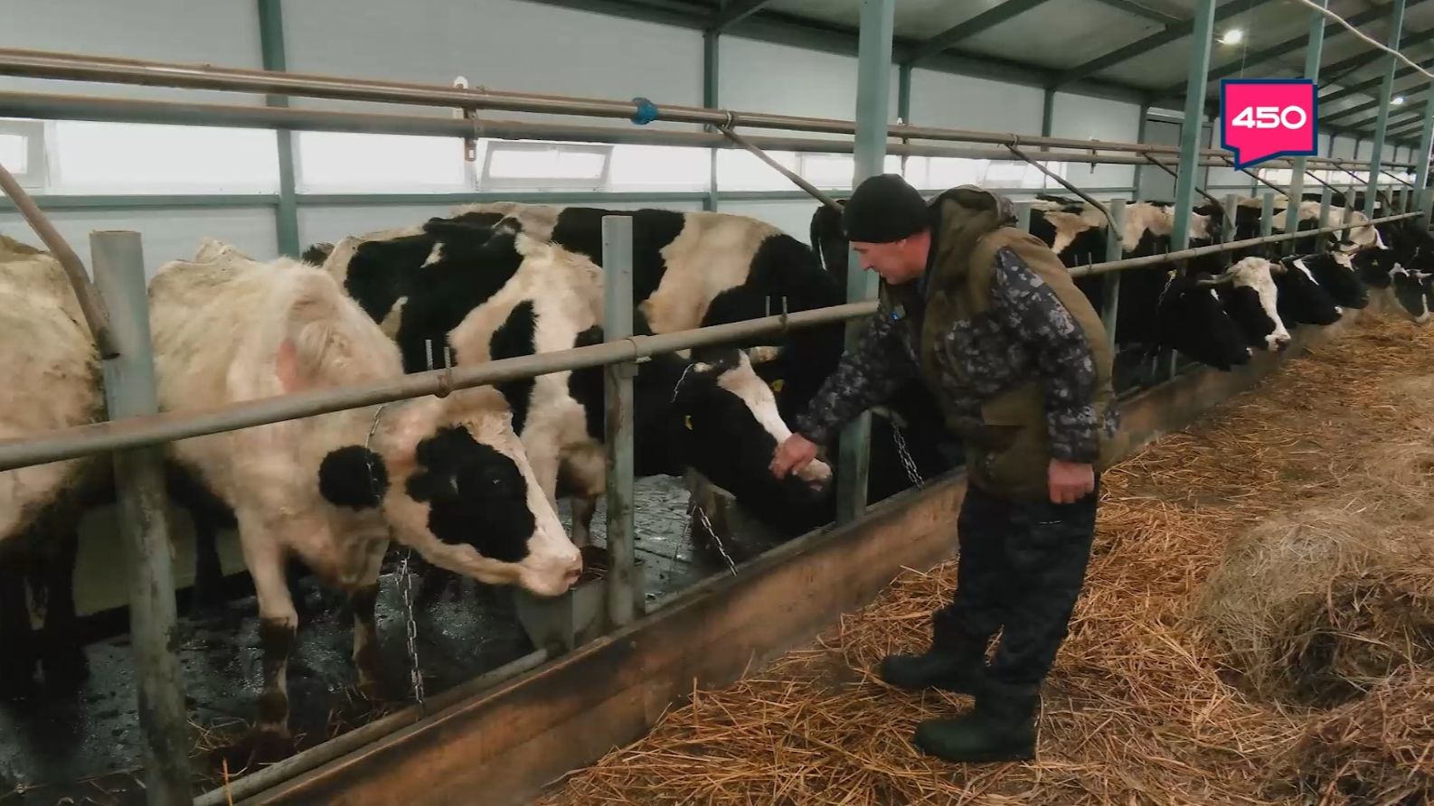 Мечта о молоке. Агрокурьер