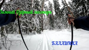 Зимний Озёрный лесопарк (Балашиха)