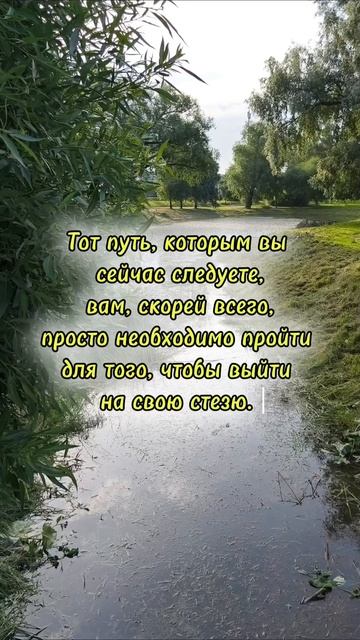 Моё от меня не уйдёт #цитаты #трансерфингреальности #мышление #мотивация #цели #саморазвитие