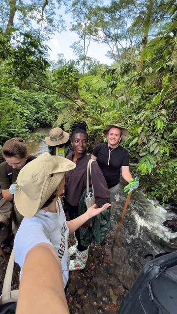 Переход вброд многочисленных ручьёв Непроходимого леса Бвинди