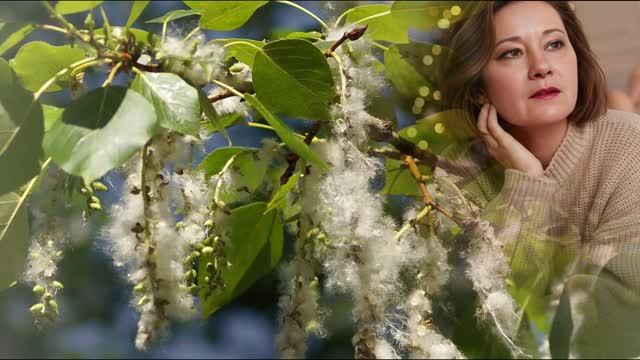 Тополя, тополя Исполняет Елена Шевченко смотреть онлайн