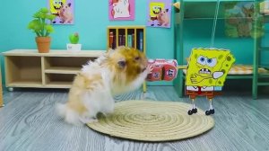 Маленький хомячок и Губка Боб в ссоре, и мама Минни в ярости!