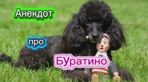 Анекдот про Буратино! 🤣🤣🤣