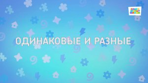 Енотки - 83 серия - Одинаковые и разные - Союзмультфильм HD