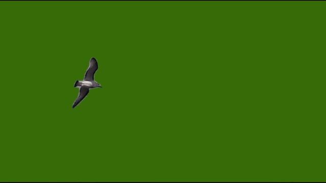 Чайка_encoded смотреть онлайн