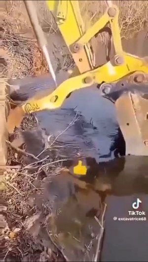 Вы когда-нибудь наблюдали, как очищают водоемы? Если нет, посмотрите это видео.