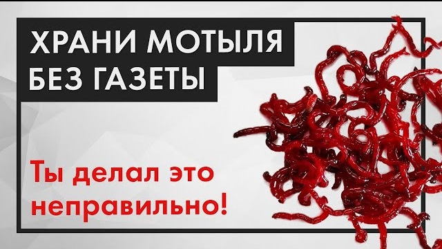 Как сохранить мотыля живым ДОЛГО. Способ БЕЗ ГАЗЕТЫ! смотреть онлайн