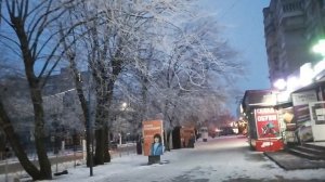 22.01.2025 засеребрила зима, ветки деревьев!