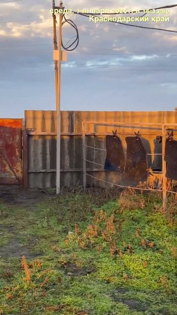 07 01 2026 г. СР. ЯНВАРЬ-ЛЕТО-РАЙ ☀️ В Январе ходим в шортах, вот он РАЙ! ❤️