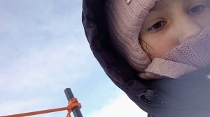 ПРОГУЛКА С БАСИКОМ? /★БАСИКИ ЛУЧШЕЕ★