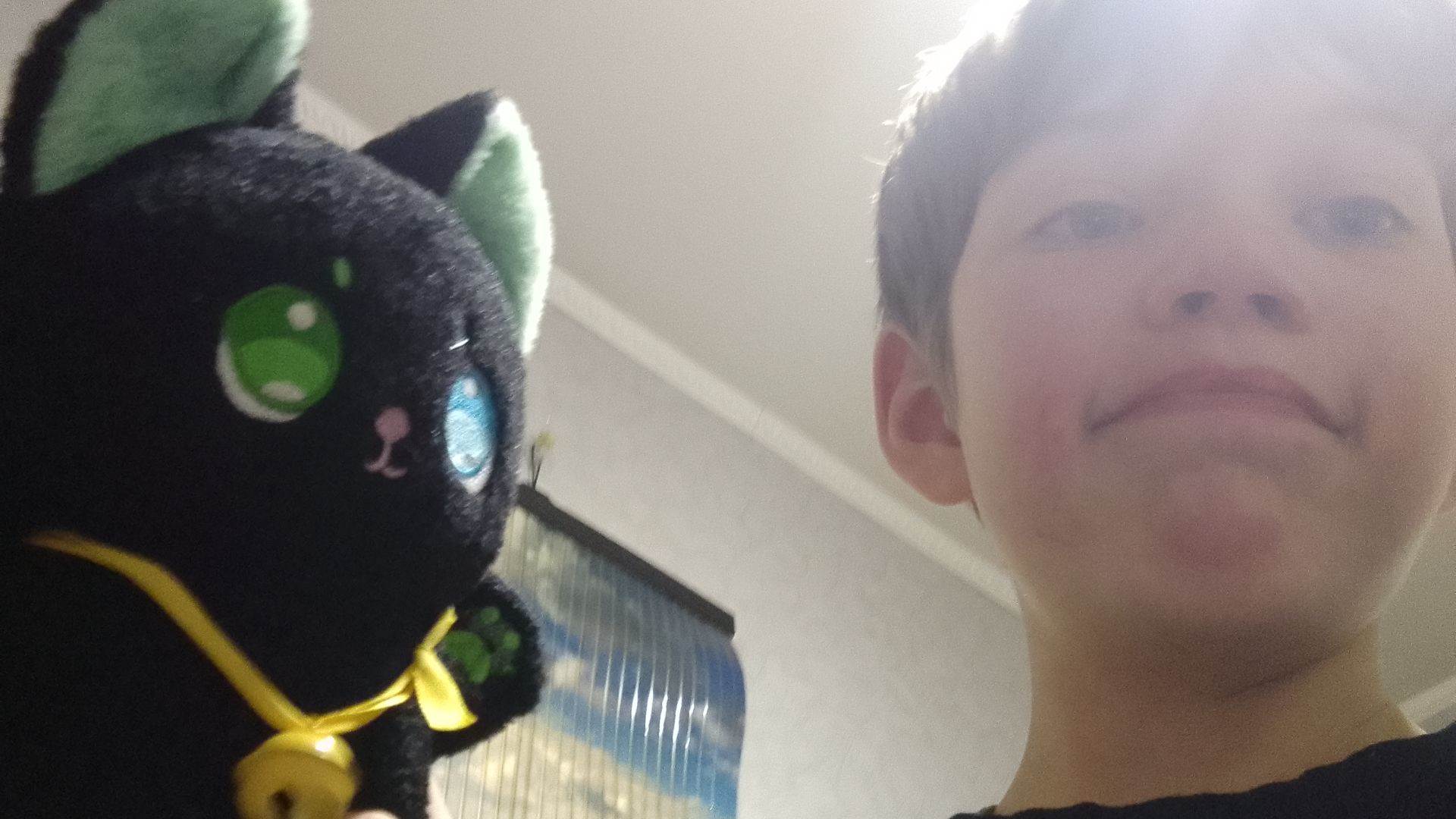 Скоро видео спойлер оно будет с котом