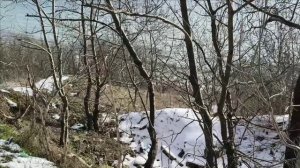 Керчь. Зимняя прогулка вдоль склона 22.01.26