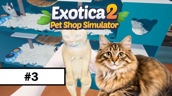 Exotica 2: Pet Shop Simulator ➤ Прохождение без комментариев | #3
