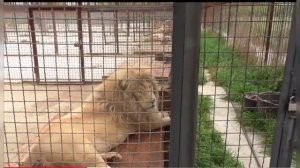 Сказки склепа Тайган.Кто открыл шибер?