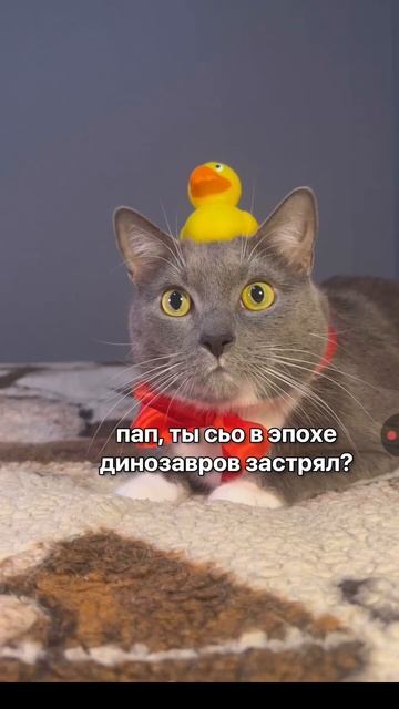 типично я смотреть онлайн