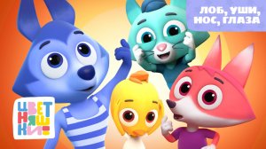 Цветняшки - Лоб, уши, нос, глаза ( head shoulders knees and toes )