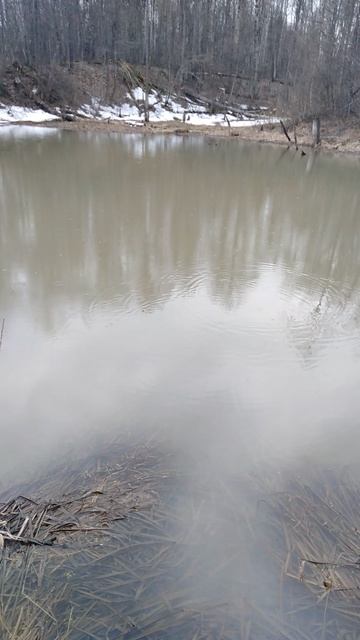 ✔Тайное лесное🌿 озеро-пруд💧✔