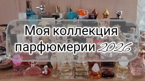 Моя коллекция ароматов 2026 / Смотрим изменения