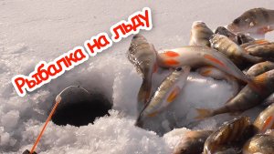 Ловля на удочку с кивком. Первый лёд 2026! Рыбалка на тонком льду