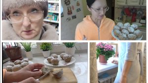 22.01.2026 Сад-огород в Фикспрайс. Грунт дешёвый. Алискины радости. Колеус. Кексы с маком.