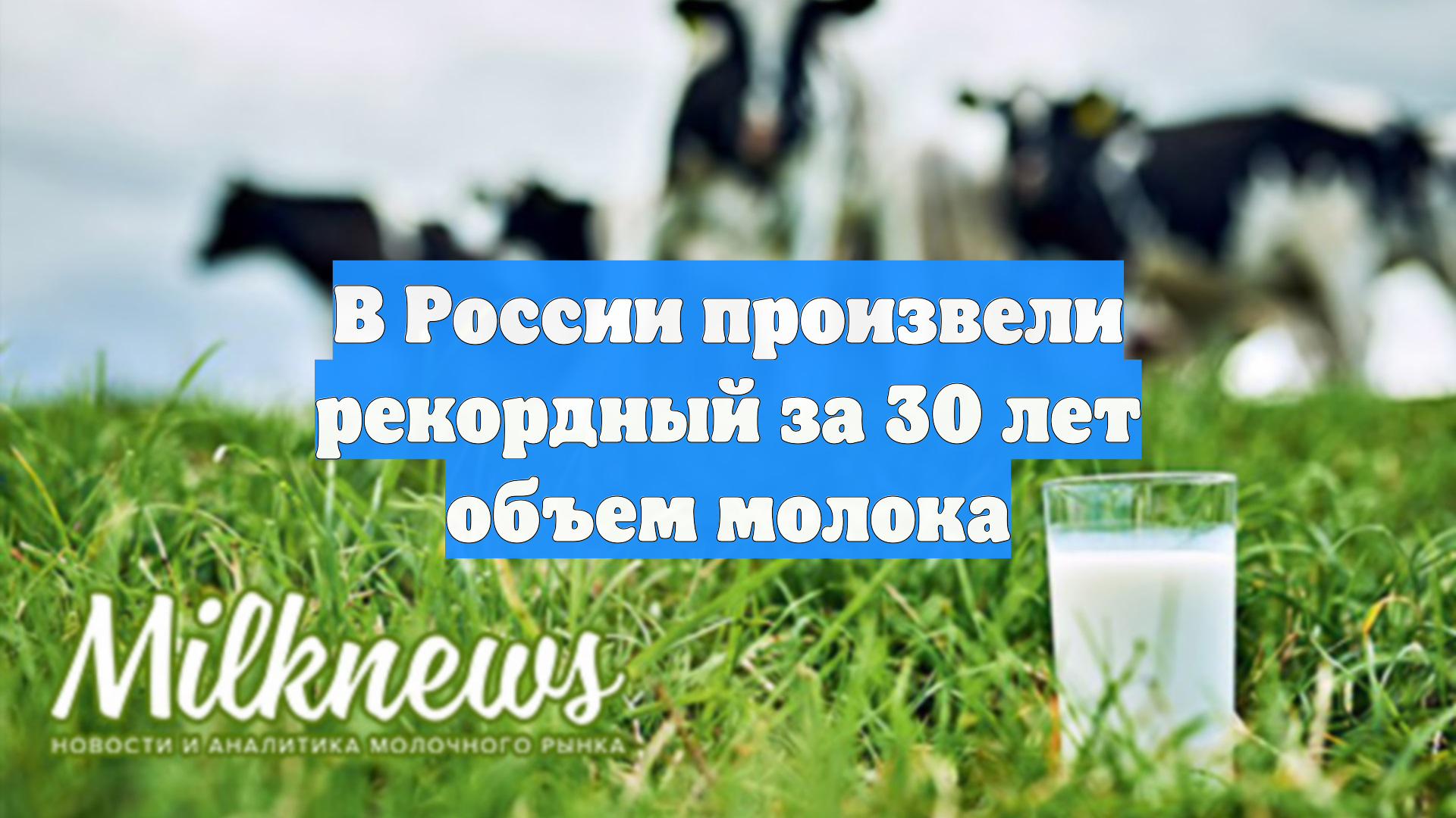 В России произвели рекордный за 30 лет объем молока смотреть онлайн