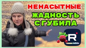 Сельчанка в Америке _Ненасытные _Жадность сгубила _Обзор _Selchanka v Amerike _Big Big Family