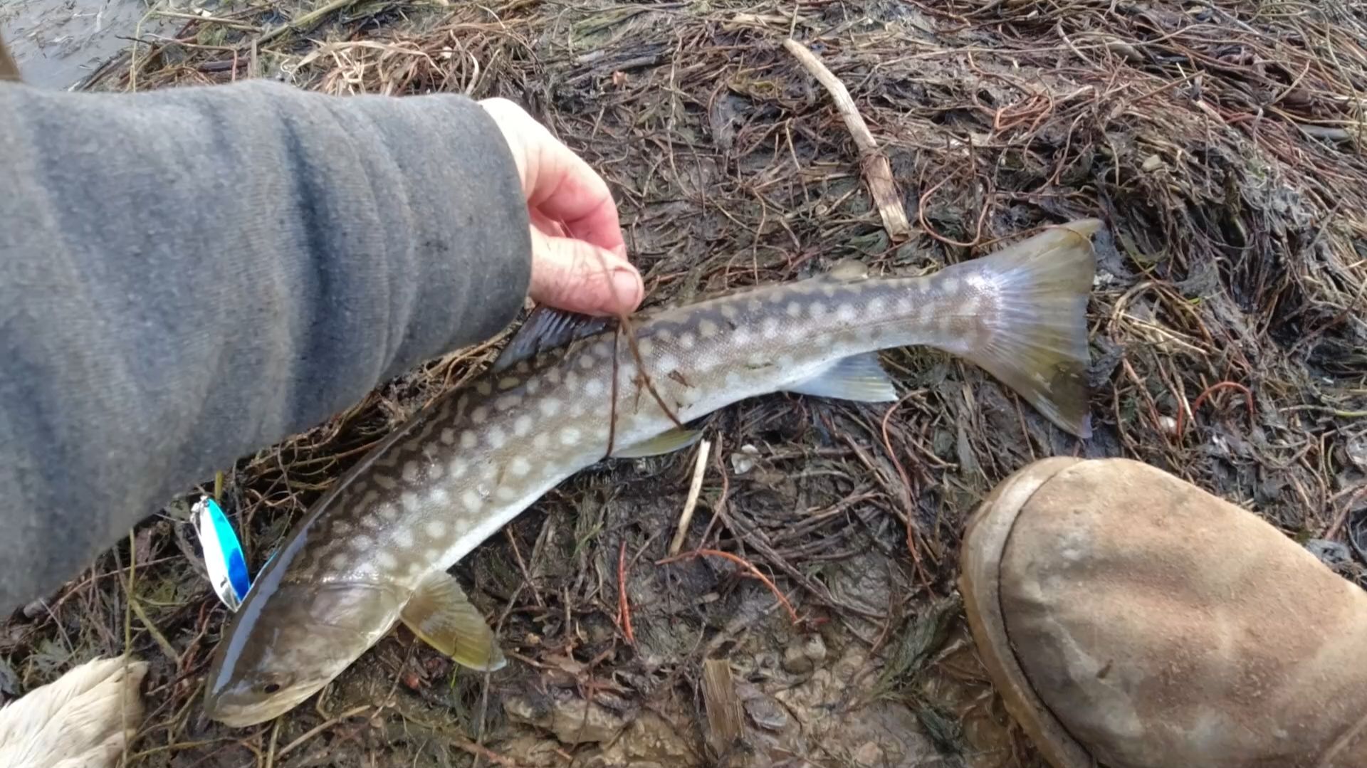 Моя рыбалка смотреть онлайн