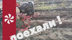Экстремальная копка картошки выкапывателем ВВДэ от ВРМЗ.