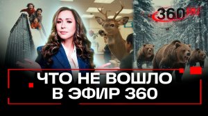 Небоскребы, олень в банке и медведи с дронами — самые необычные новости недели на 360