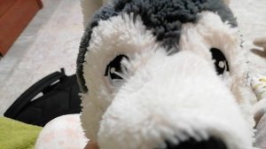 вечер с басиками