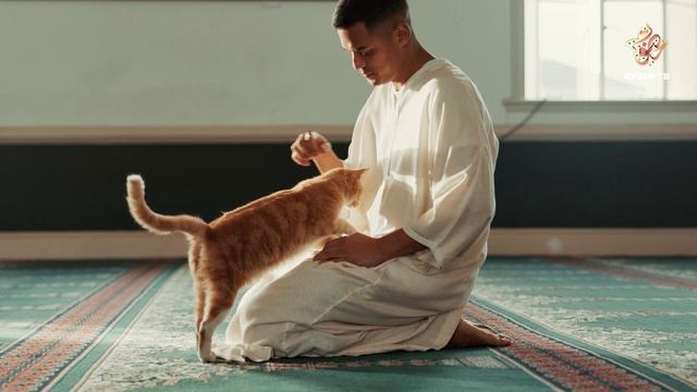 Кому можно отдать закят? | Закят смотреть онлайн