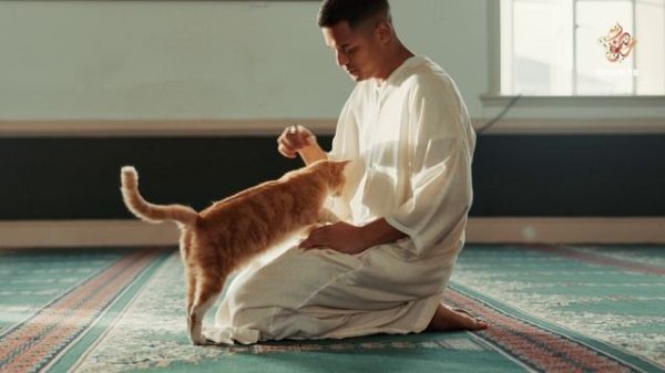 Кому можно отдать закят? | Закят