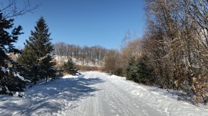 Ах, мамочка, на саночках...